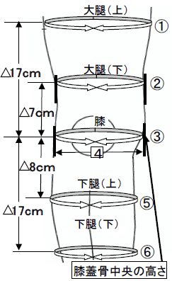 ※膝採寸肢位、伸展位（0度～5度）の図
