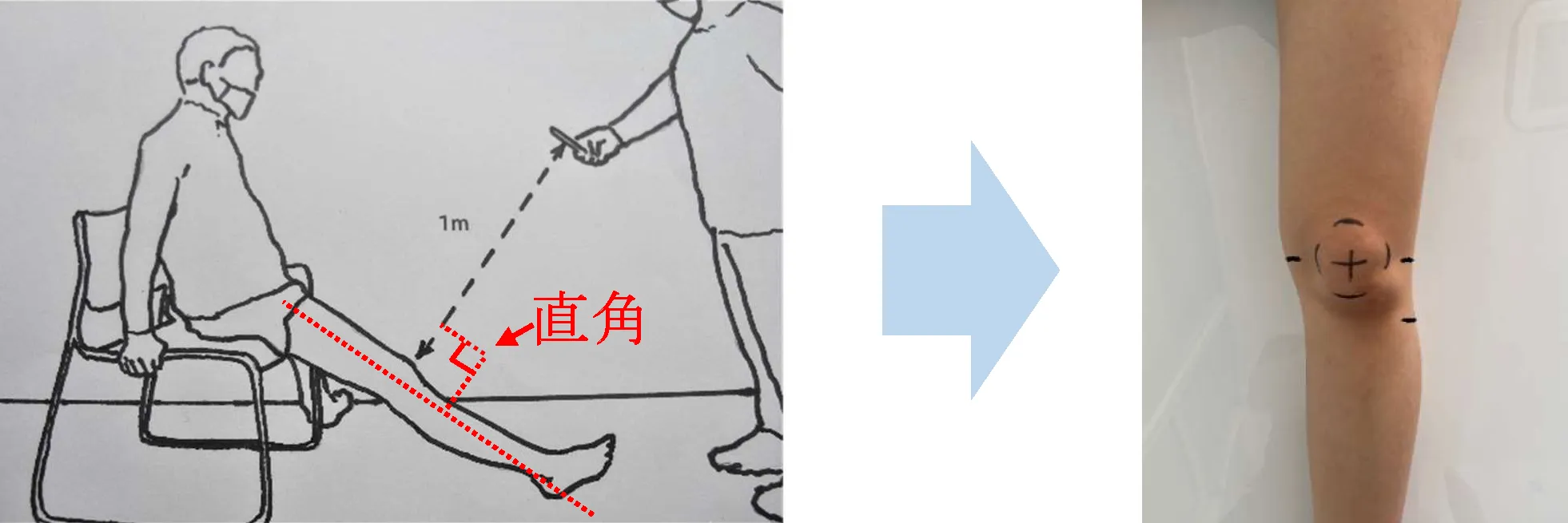 伸ばした足に直角に、1mの距離から撮影してください